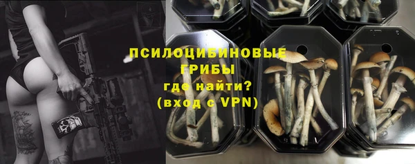 хмурый Вяземский