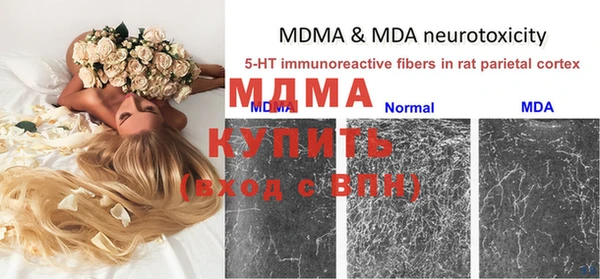 хмурый Вяземский