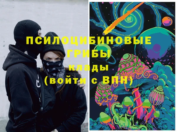 сатива Вязники