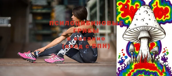 сатива Вязники