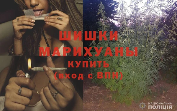 сатива Вязники